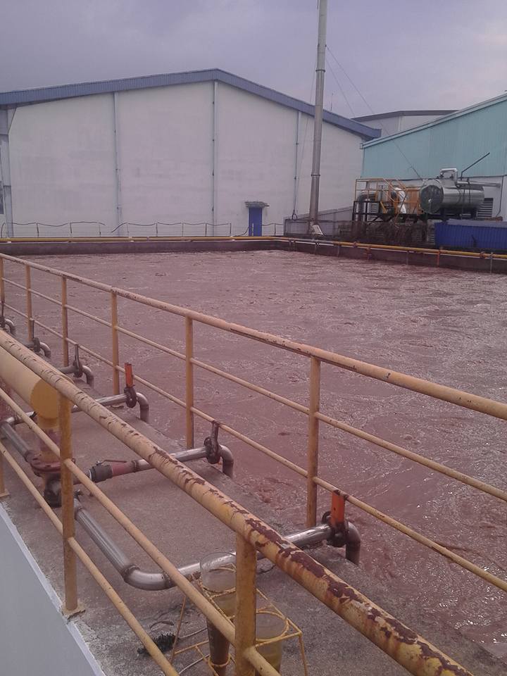Hệ thống xử lý nước thải nhà máy sản xuất kem Kido